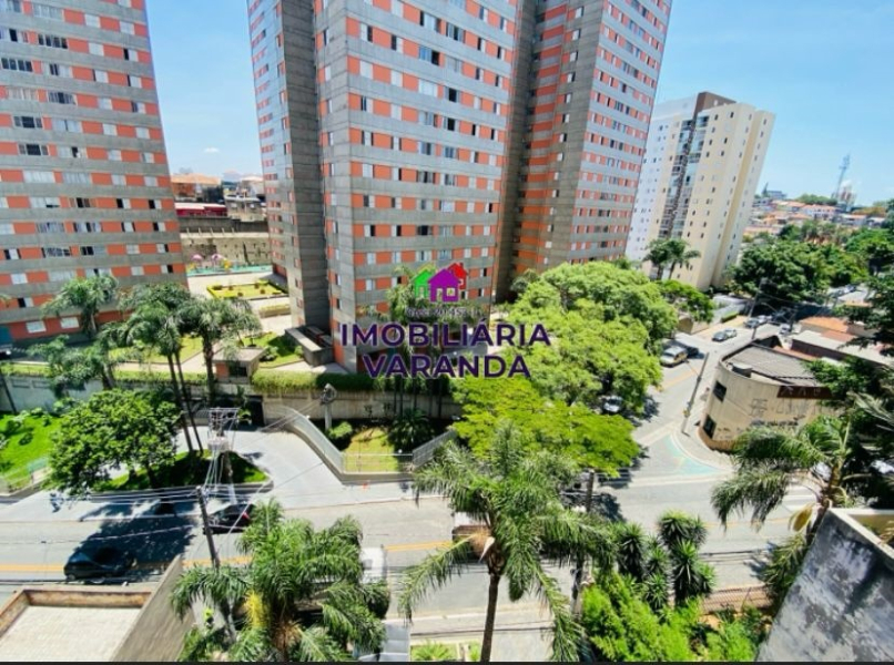São Paulo/SP